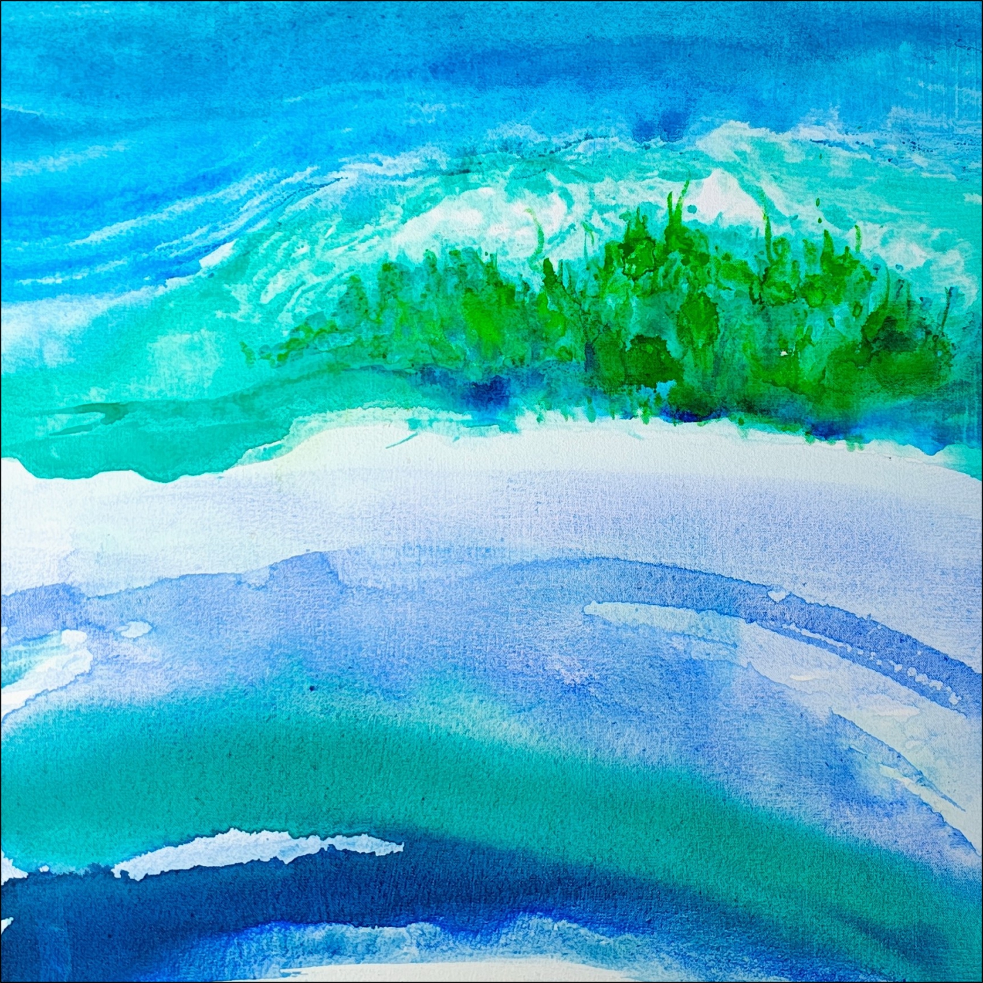 forest lake 30x30